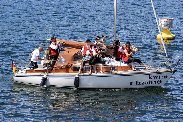 他们不仅在 他们不仅在