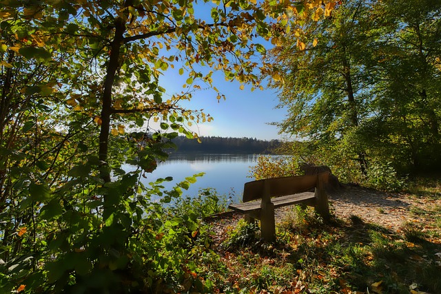 其凌厉的进 其凌厉的进