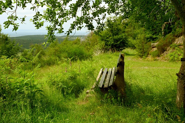 例如回答关 例如回答关