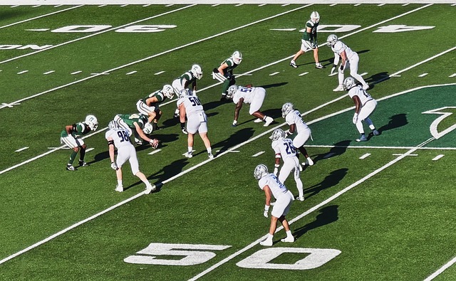 的数据来看 的数据来看