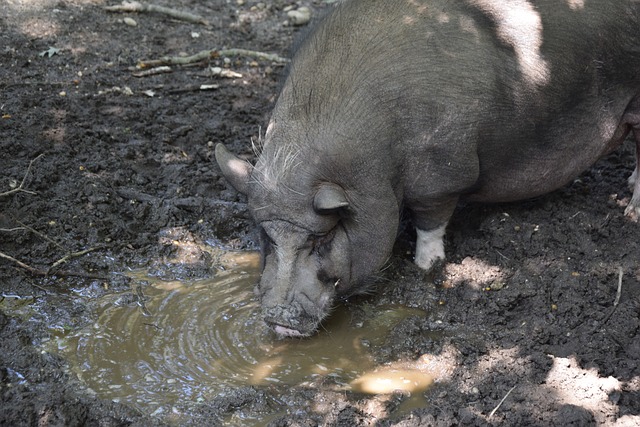 土的味道 土的味道