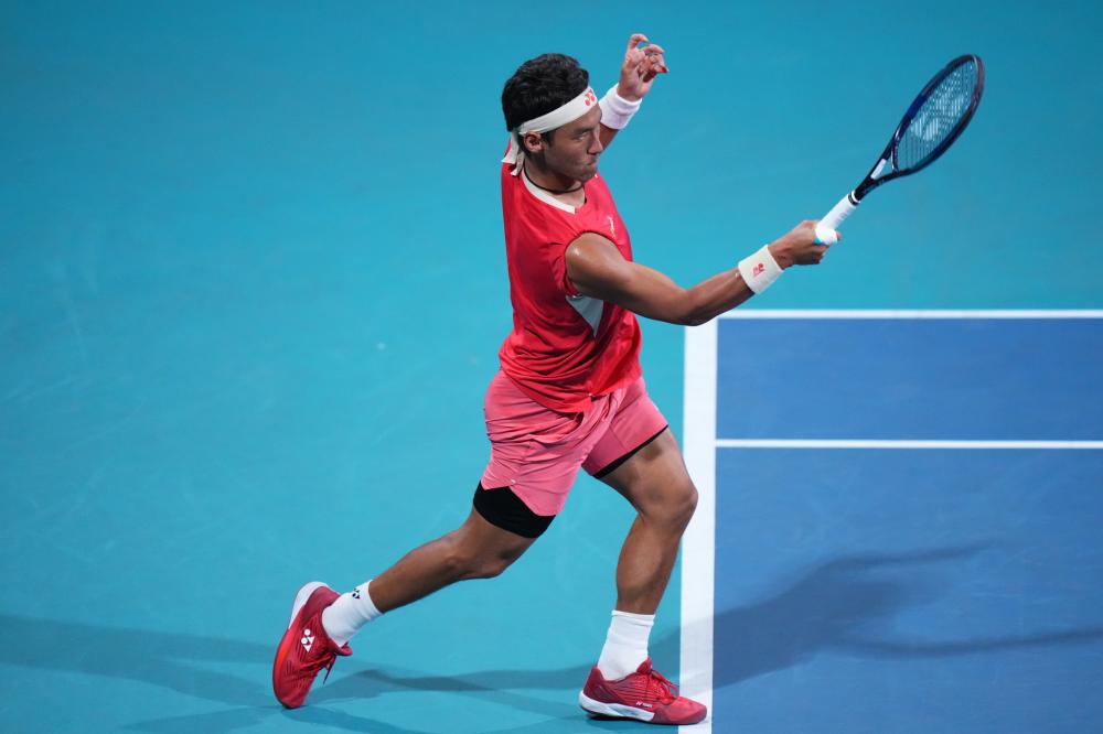 彰显了丰富 彰显了丰富