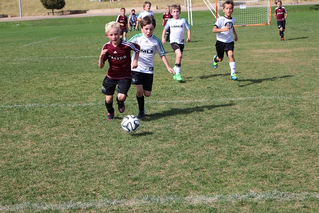 登上欧洲之 登上欧洲之