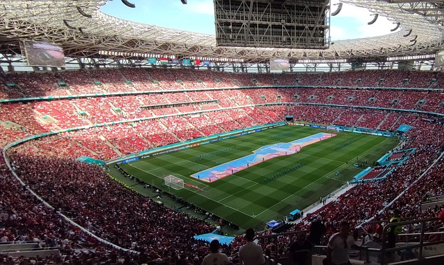 这个项目起 这个项目起